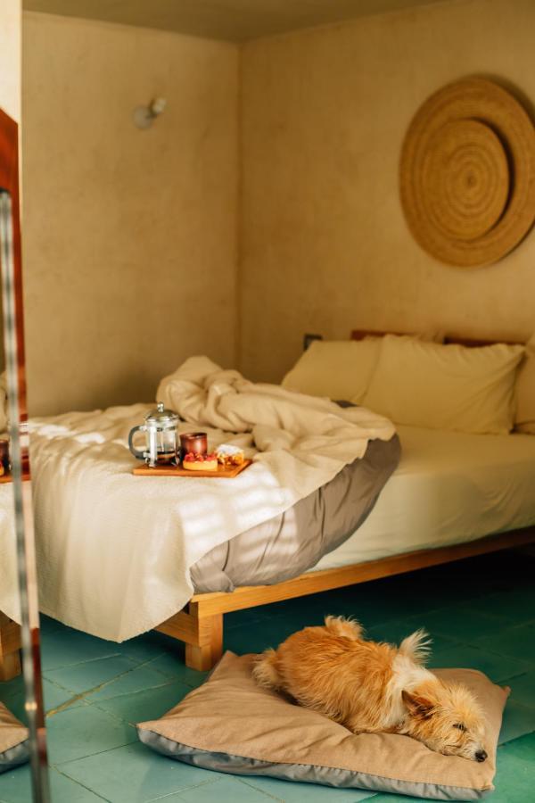 Boulenc Bed And Bread Hotel Oaxaca Eksteriør billede