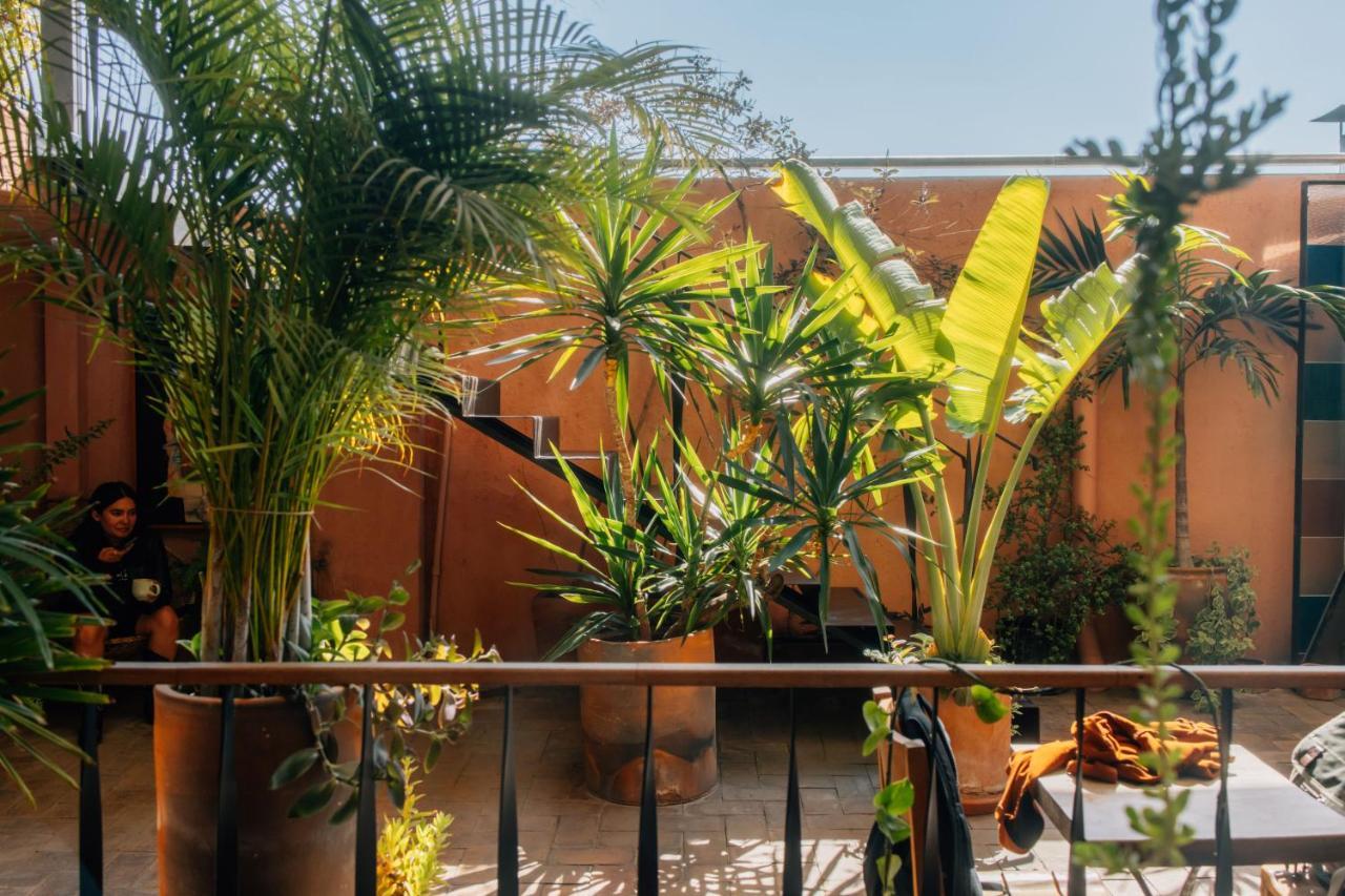 Boulenc Bed And Bread Hotel Oaxaca Eksteriør billede