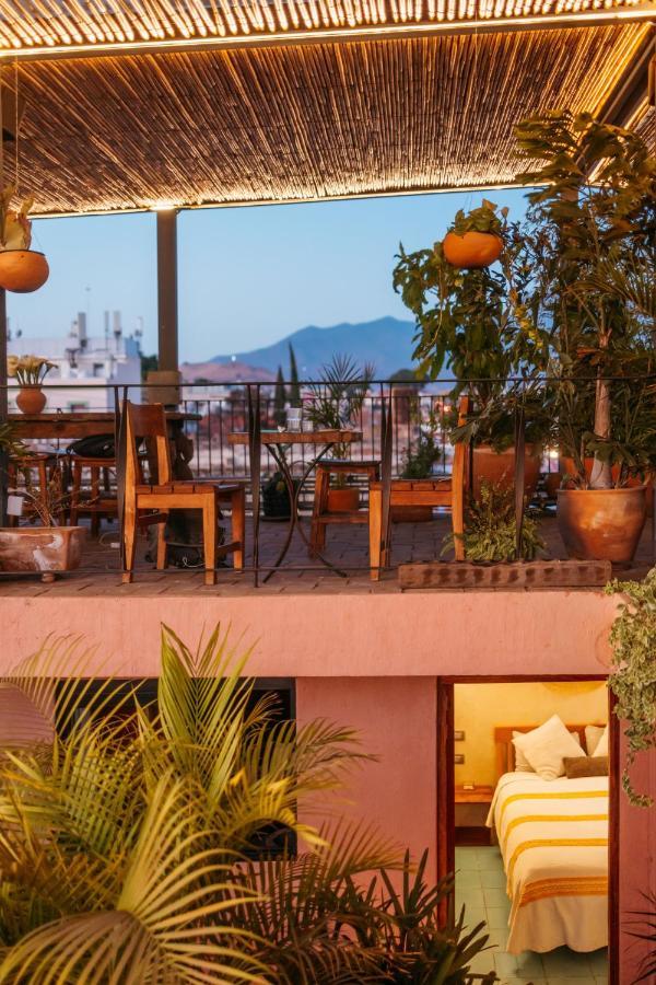 Boulenc Bed And Bread Hotel Oaxaca Eksteriør billede